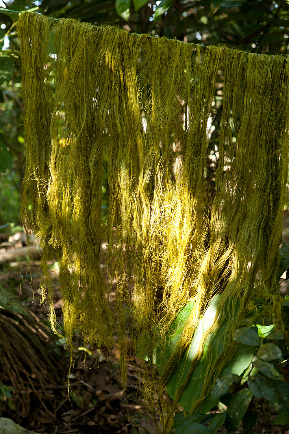 CHONTADURO 15_galeria _MG_6883.jpg